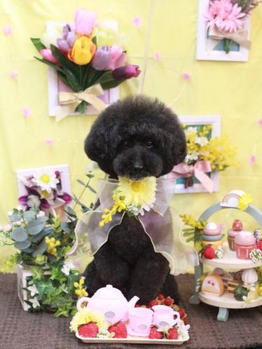 20230325ラブくん